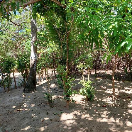 Cabana Playa Cambiaso Bed & Breakfast Puerto Plata Dış mekan fotoğraf
