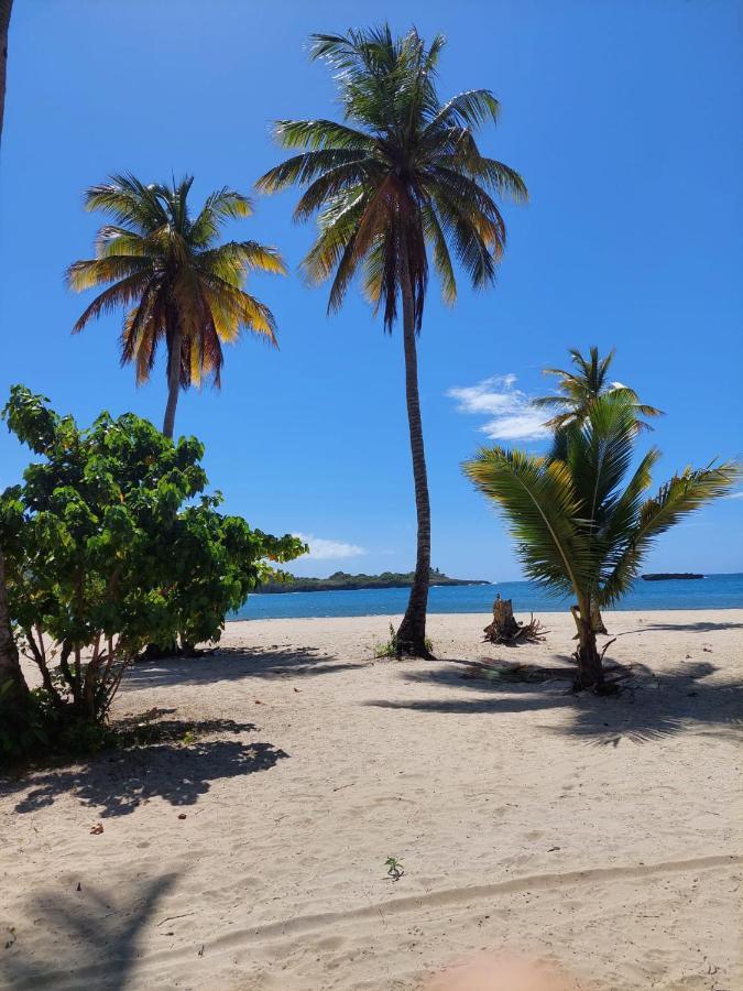 Cabana Playa Cambiaso Bed & Breakfast Puerto Plata Dış mekan fotoğraf