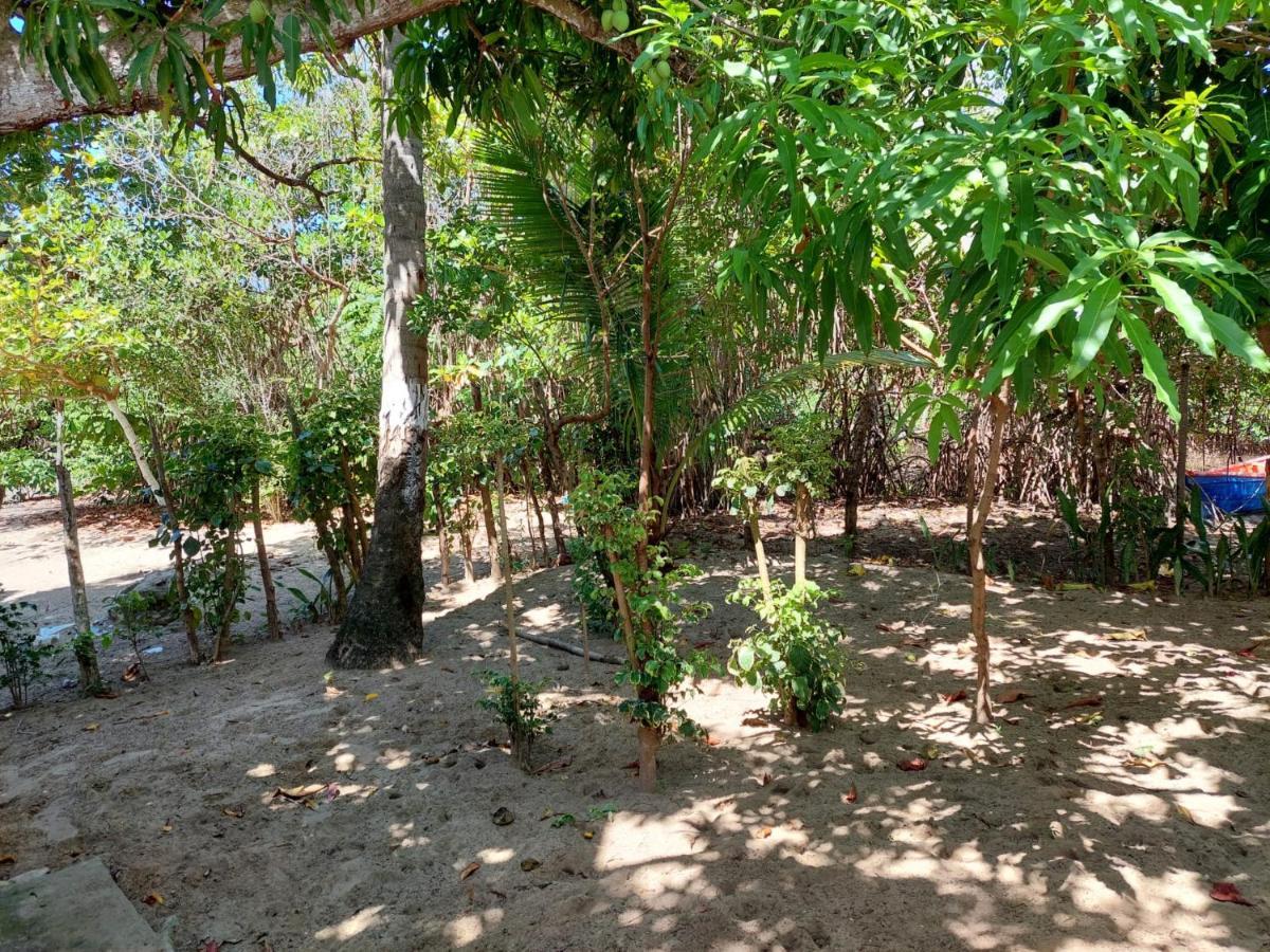 Cabana Playa Cambiaso Bed & Breakfast Puerto Plata Dış mekan fotoğraf